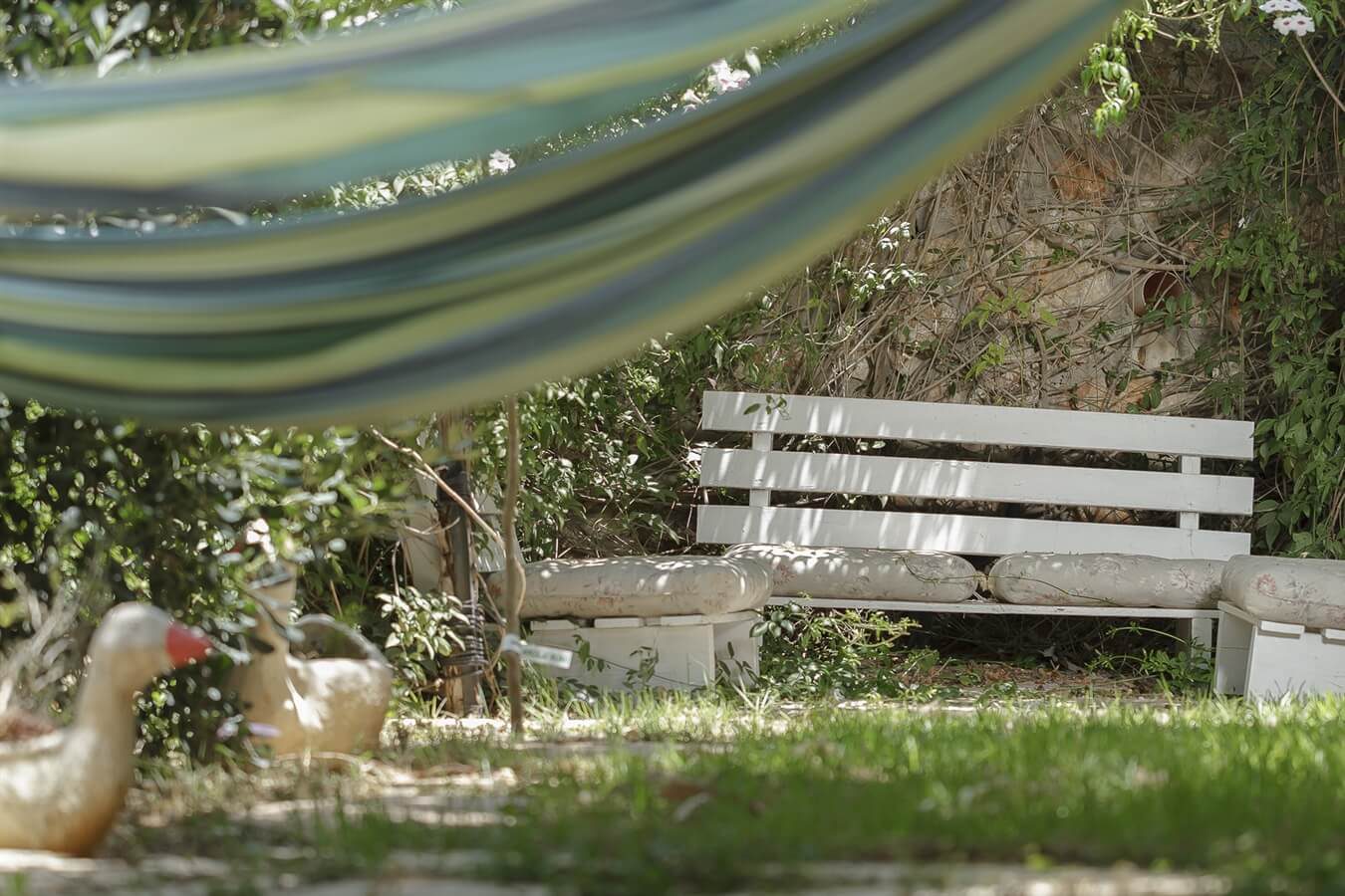 A quiet corner in the garden