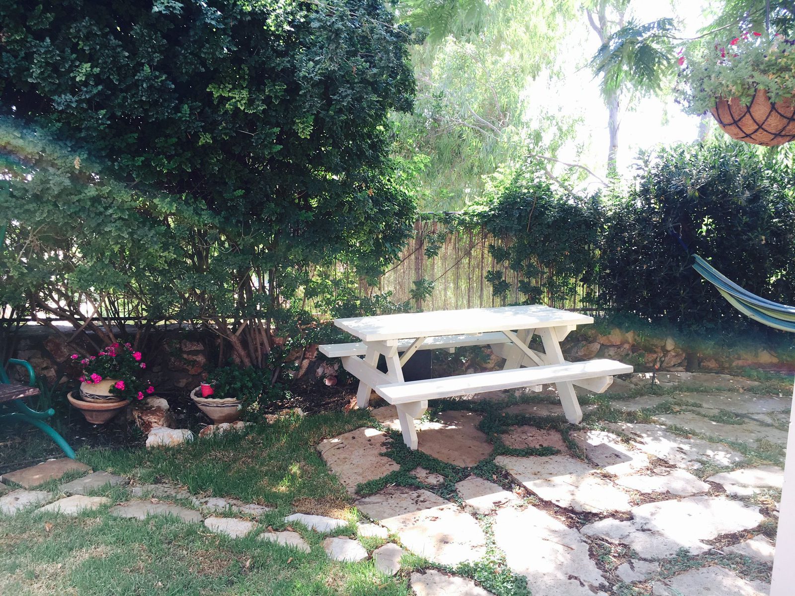 The garden and hammocks